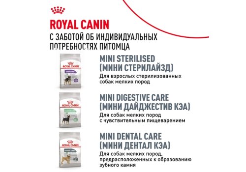 Royal Canin Breed dog Pomeranian Adult / Сухой корм Роял Канин для взрослых собак породы Померанский Шпиц от 8 месяцев и старше