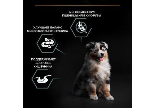 PRO PLAN GRAIN FREE / Сухой корм ПРО ПЛАН для щенков средних и крупных пород при чувствительном пищеварении с индейкой