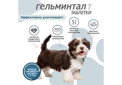 Гельминтал Т / Таблетки от Гельминтов для Щенков и собак весом до 10 кг