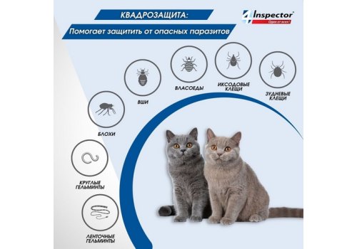 Inspector Quadro К / Капли Инспектор от Внешних и Внутренних паразитов для кошек весом от 8 до 15 кг