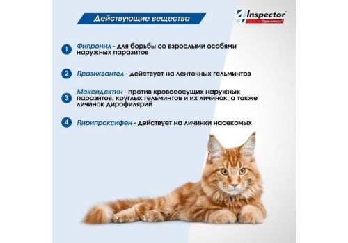 Inspector Quadro К / Капли Инспектор от Внешних и Внутренних паразитов для кошек весом от 8 до 15 кг