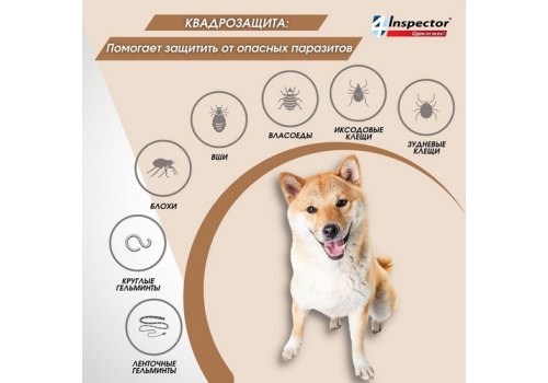 Inspector Quadro Tabs / Таблетки Инспектор от Внешних и Внутренних паразитов для собак весом от 16 кг