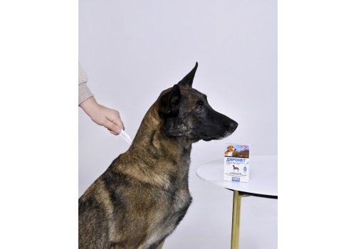 АгроВетЗащита Диронет Спот-он / Капли для собак на холку от круглых и ленточных Гельминтов Блох Вшей и Клещей