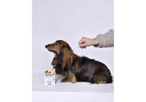 АгроВетЗащита Диронет Спот-он / Капли для Щенков на холку от круглых и ленточных Гельминтов Блох Вшей и Клещей