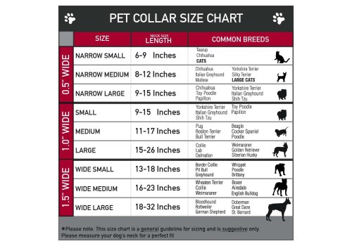 Buckle-Down / Ошейник Бакл-Даун для собак с пластиковой застёжкой Супермен синий