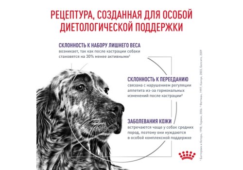 Royal Canin Neutered Adult Medium Dogs / Сухой корм Роял Канин для Кастрированных или Стерилизованных взрослых собак Средних пород