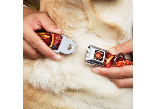 Buckle-Down / Ошейник Бакл-Даун для собак с Металлической застёжкой Флэш портрет и лого красный