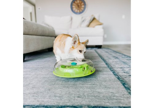 Nina Ottosson Wobble Bowl / Миска-головоломка Нина Оттосан для собак для медленного поедания 1 уровень сложности