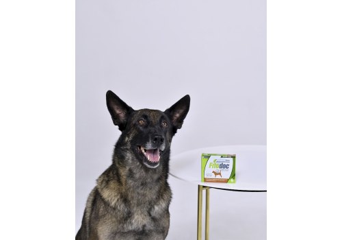 Fitodoc / Капли Фитодок для собак Средних пород Дерматологические