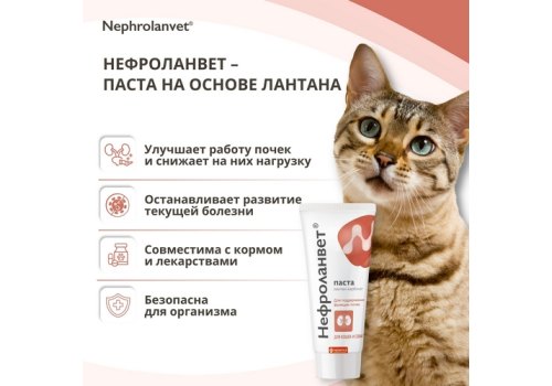 Нефроланвет / Паста для поддержания функции почек для кошек и собак
