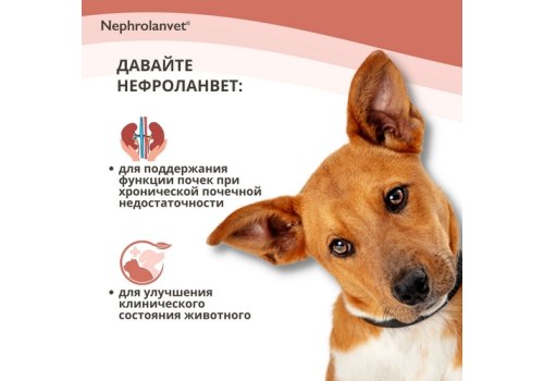 Нефроланвет / Паста для поддержания функции почек для кошек и собак