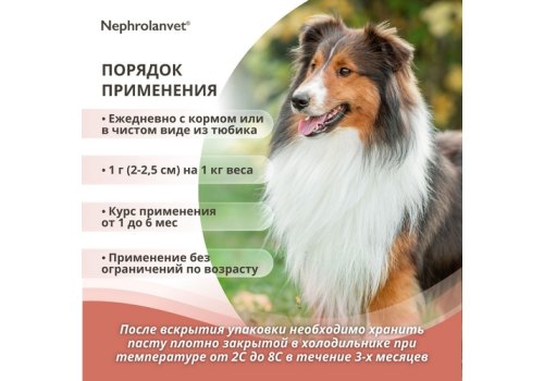 Нефроланвет / Паста для поддержания функции почек для кошек и собак