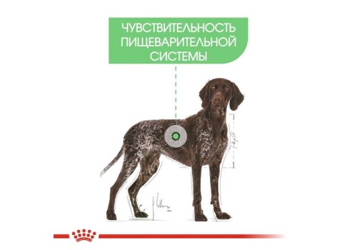 Royal Canin Maxi Digestive Care / Сухой корм Роял Канин Макси Дайджестив Кэа для собак Крупных пород с Чувствительным пищеварением