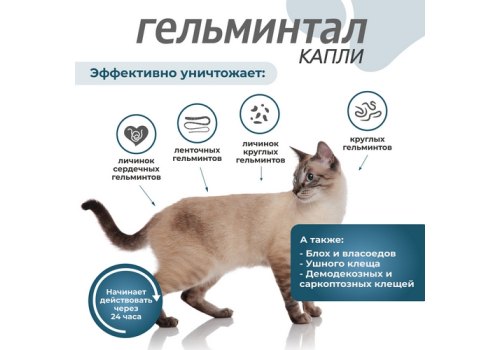 Гельминтал К Spot-on / Капли от Гельминтов на холку для кошек весом до 4 кг