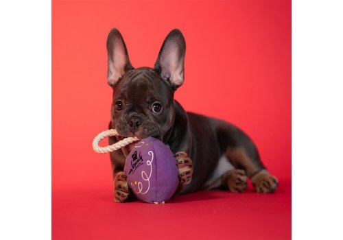 Mr.Kranch / Игрушка Мистер Кранч для собак Мелких и Средних пород Шарик новогодний с канатом Фиолетовый