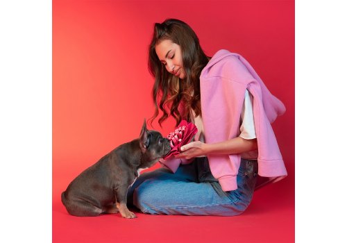 Mr.Kranch / Нюхательная игрушка Мистер Кранч для собак Цветок Розовый