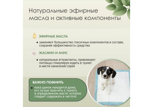 Tamachi Potty Training / Спрей Тамачи для собак для приучения к туалету