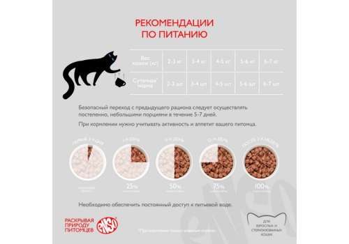 Enso / Влажный корм Паучи Энсо для взрослых кошек Индейка кусочки в соусе (цена за упаковку)