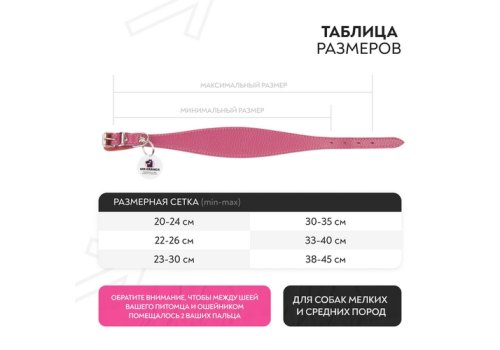 Mr.Kranch / Ошейник-cеледка Мистер Кранч для собак из Натуральной кожи с QR-адресником Малиновый