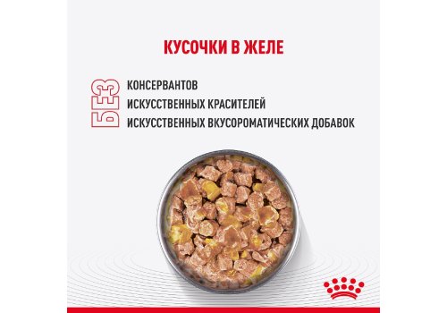 Royal Canin Kitten Sterilised Jelly / Влажный корм (Консервы-Паучи) Роял Канин Киттен Стерилайзд для Стерилизованных Котят в возрасте от 6 до 12 месяцев в Желе (цена за упаковку)