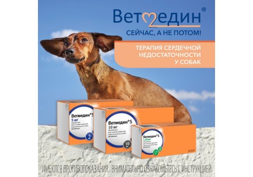 BI Ветмедин® S Жевательные таблетки для лечения сердечной недостаточности у собак 1,25 мг