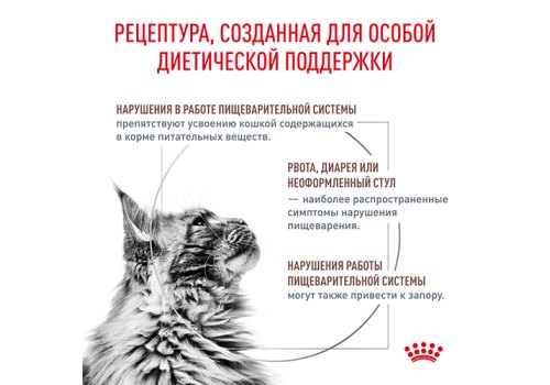 Royal Canin Gastrointestinal Fibre Response / Ветеринарный сухой корм Роял Канин Фибр Респонс для кошек Нарушения пищеварения (запоры)