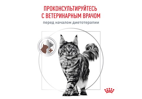 Royal Canin Gastrointestinal Fibre Response / Ветеринарный сухой корм Роял Канин Фибр Респонс для кошек Нарушения пищеварения (запоры)