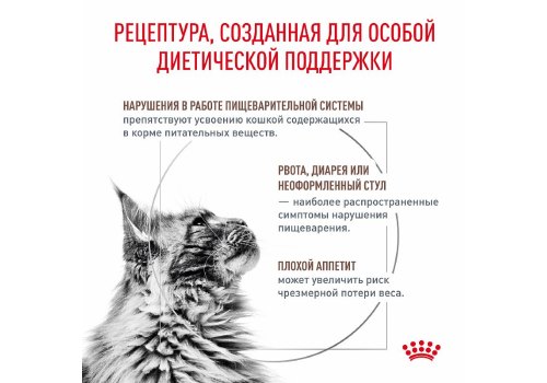 Royal Canin Gastrointestinal / Ветеринарный влажный корм (Консервы-Паучи) Роял Канин Гастроинтестинал для кошек Нарушения пищеварения (цена за упаковку)