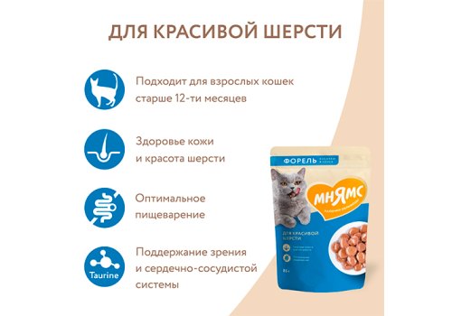 Мнямс Влажный корм Паучи для Красивой шерсти кошек Кусочки в соусе с Форелью (цена за упаковку)