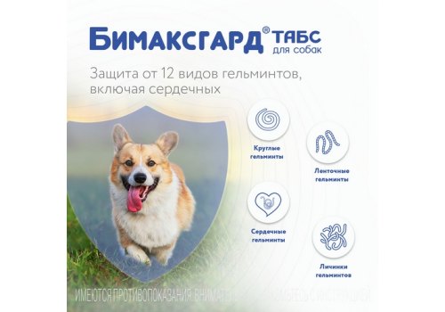 Бимаксгард ТАБС антигельминтик для Крупных собак