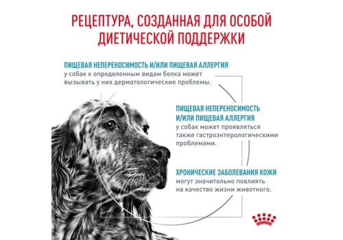 Royal Canin Hypoallergenic DR21 / Ветеринарный сухой корм Роял Канин Гипоаллергенный для собак с Пищевой аллергей и непереносимостью