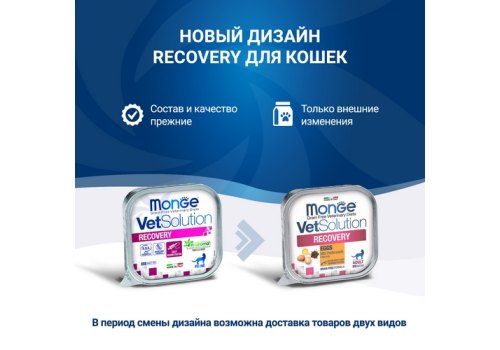 Monge VetSolution Recovery / Ветеринарная диета Монж Рекавери для кошек при Восстановлении питания в период выздоровления (цена за упаковку)