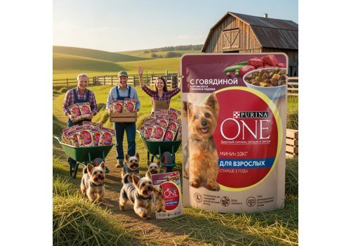 PURINA ONE ADULT / Влажный корм Паучи Пурина УАН для взрослых собак мелких пород с говядиной (цена за упаковку)