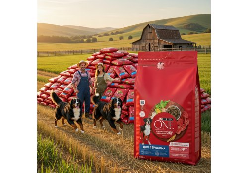 PURINA ONE ADULT / Сухой корм Пурина УАН для взрослых собак средних и крупных пород с говядиной