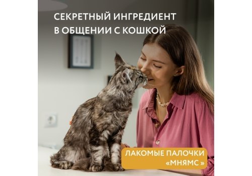 Мнямс Лакомство для кошек Лакомые палочки 13,5 см Цыпленок и Печень