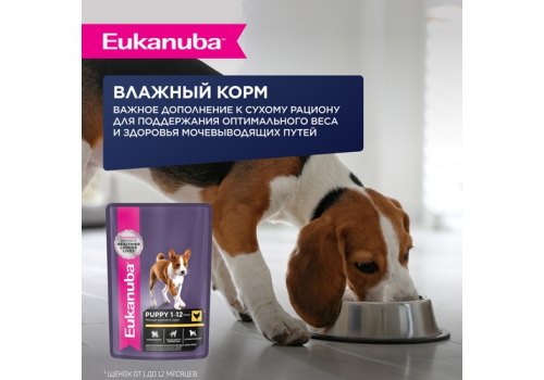 Eukanuba / Сухой корм Эукануба для Щенков Мелких и Средних пород до 12 месяцев с Ягненком