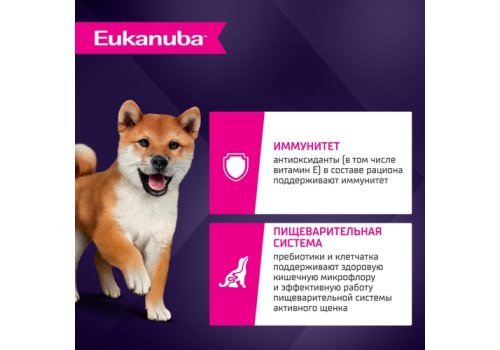 Eukanuba / Сухой корм Эукануба для Щенков Мелких и Средних пород до 12 месяцев с Ягненком