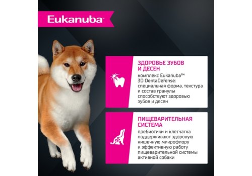 Eukanuba / Сухой корм Эукануба для взрослых собак Мелких и Средних пород старше 1 года с Ягненком