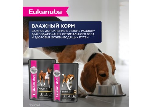 Eukanuba / Сухой корм Эукануба для взрослых собак Мелких и Средних пород старше 1 года с Ягненком