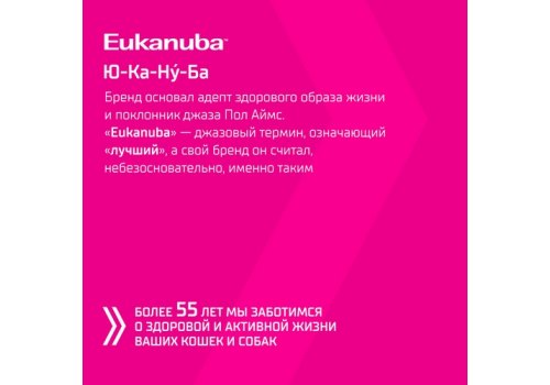 Eukanuba / Сухой корм Эукануба для взрослых собак Мелких и Средних пород старше 1 года с Ягненком