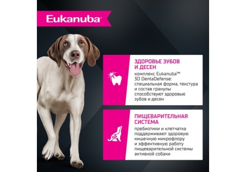 Eukanuba / Сухой корм Эукануба для взрослых собак Крупных и очень крупных пород старше 1 года с Ягненком