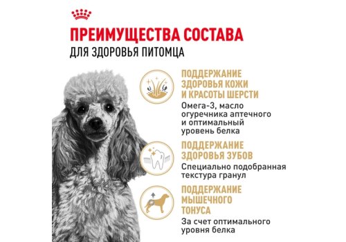 Royal Canin Breed dog Poodle Adult / Сухой корм Роял Канин для взрослых собак породы Пудель старше 10 месяцев
