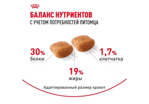Royal Canin Breed dog Poodle Adult / Сухой корм Роял Канин для взрослых собак породы Пудель старше 10 месяцев