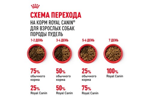 Royal Canin Breed dog Poodle Adult / Сухой корм Роял Канин для взрослых собак породы Пудель старше 10 месяцев