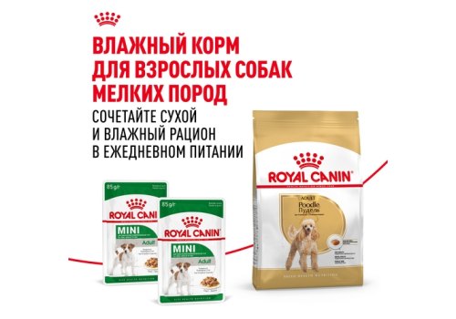 Royal Canin Breed dog Poodle Adult / Сухой корм Роял Канин для взрослых собак породы Пудель старше 10 месяцев