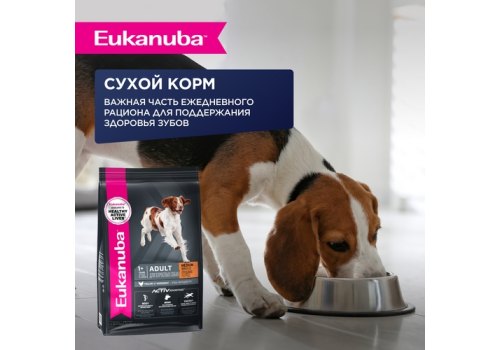 Eukanuba Dog Pouch Adult Beef / Влажный корм (Паучи) Эукануба для взрослых собак с Говядиной в соусе (цена за упаковку)