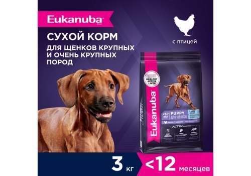 Eukanuba Puppy Large Breed / Сухой корм Эукануба для Щенков Крупных пород с Курицей, фото 