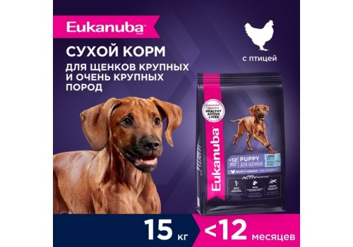 Eukanuba Puppy Large Breed / Сухой корм Эукануба для Щенков Крупных пород с Курицей, фото 