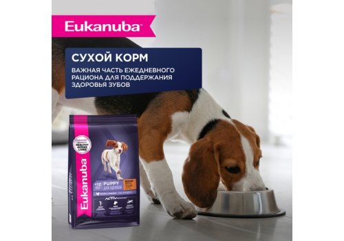 Eukanuba Dog Pouch Puppy Chicken / Влажный корм (Паучи) Эукануба для Щенков с Курицей в соусе (цена за упаковку)