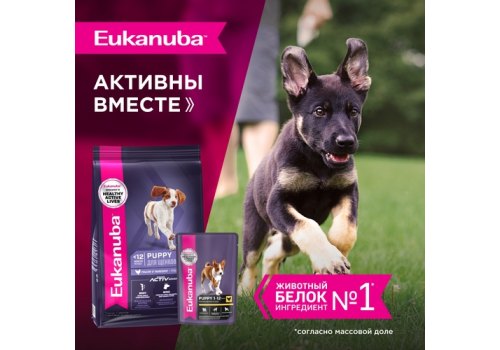 Eukanuba Dog Pouch Puppy Chicken / Влажный корм (Паучи) Эукануба для Щенков с Курицей в соусе (цена за упаковку)